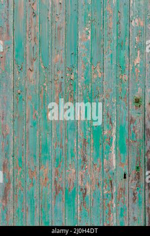 Besucher, die in den Stallungen von Calke Abbey Stables Tichnell Derbyshire in den verzweifelten grünen Stalltüren blicken Stockfoto