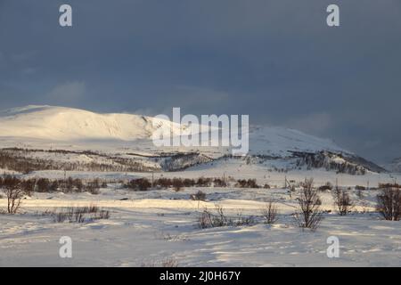 Winter im Dovrefjell Nationalpark, Norwegen Stockfoto
