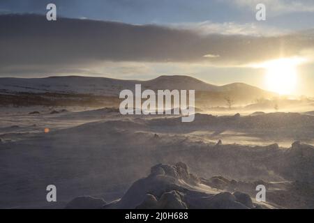 Winter im Dovrefjell Nationalpark, Norwegen Stockfoto