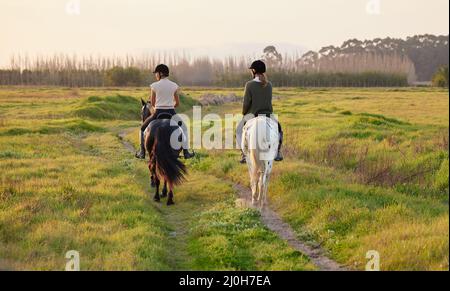 Ein Pferd liebt die Freiheit. Aufnahme von zwei unkenntlichen Frauen, die draußen auf einem Feld ihre Pferde reiten. Stockfoto