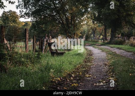 Alte Bank, auf einem Feldweg Stockfoto