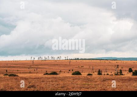 Landschaft im Naturpark hohe Fens in der Eifel Stockfoto