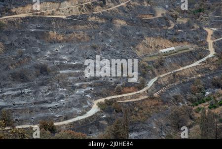 Bergfeuer mit verbranntem Ackerland und Wald. Umweltkatastrophe Stockfoto