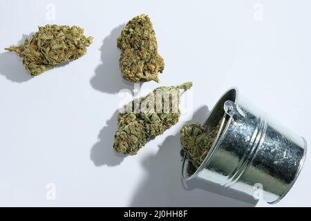 Gestreute trockene Cannabis, Marihuana in einem Eimer isoliert auf weißem Hintergrund. Große Hanfknospen im Eimer, Draufsicht. Hanf Bio-Anbau. Stockfoto
