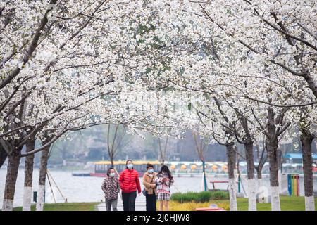 Nanjing, Chinas Provinz Jiangsu. 19. März 2022. Touristen besuchen den malerischen Ort am Xuanwu-See in Nanjing, der Hauptstadt der ostchinesischen Provinz Jiangsu, 19. März 2022. Kredit: Su Yang/Xinhua/Alamy Live Nachrichten Stockfoto