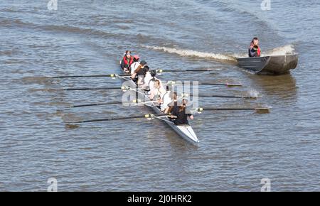 Eine Frau hat acht und ein Hilfsboot auf der Themse, Barnes, London, SW13, England, VEREINIGTES KÖNIGREICH Stockfoto