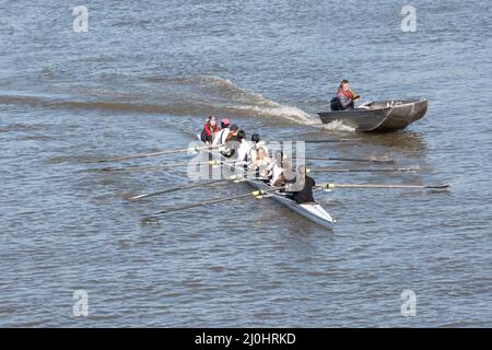 Eine Frau hat acht und ein Hilfsboot auf der Themse, Barnes, London, SW13, England, VEREINIGTES KÖNIGREICH Stockfoto