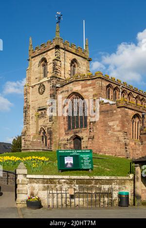 Frühlingsansicht der Pfarrkirche St. James der große im Cheshire-Dorf Audlem, mit Narzissen, die um den Hügel wachsen, auf dem sie steht Stockfoto