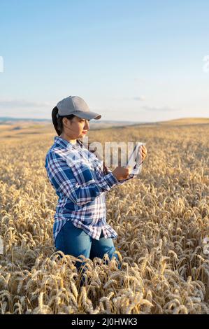 Die junge Agrarwissenschaftlerin kontrolliert das Wachstum des Weizens auf dem Feld. Landwirt notiert sich auf Tablet. Agro-Geschäftskonzept Stockfoto