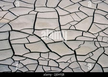 Rissige Erde im Sommer Stockfoto
