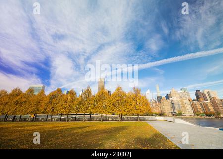 Der Wolkenkratzer von Midtown Manhattan steht hinter Reihen von herbstlichen blättrigen Bäumen im Franklin D. Roosevelt Four Freedoms Park auf der Roosevelt Island jenseits des Th Stockfoto