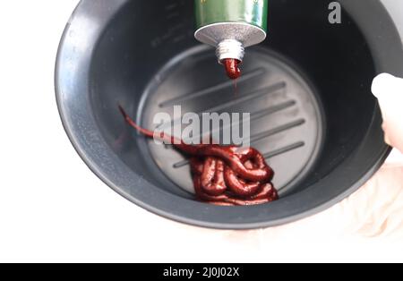 Mit Handschuhen zubereitete organische Haarfärbemittel zu Hause. Nahaufnahme der Herstellung von organischen Haarfärbemitteln für Männer, Männer, Frauen und Frauen. Stockfoto