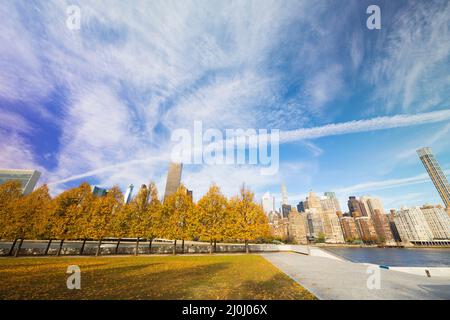 Der Wolkenkratzer von Midtown Manhattan steht hinter Reihen von herbstlichen blättrigen Bäumen im Franklin D. Roosevelt Four Freedoms Park auf der Roosevelt Island jenseits des Th Stockfoto