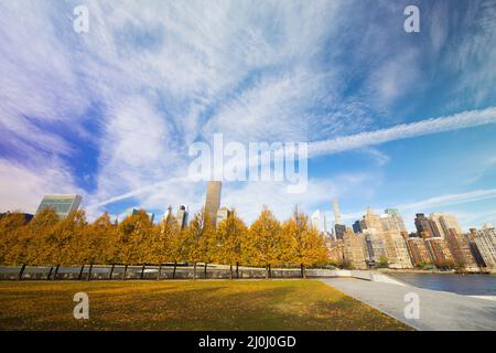 Der Wolkenkratzer von Midtown Manhattan steht hinter Reihen von herbstlichen blättrigen Bäumen im Franklin D. Roosevelt Four Freedoms Park auf der Roosevelt Island jenseits des Th Stockfoto