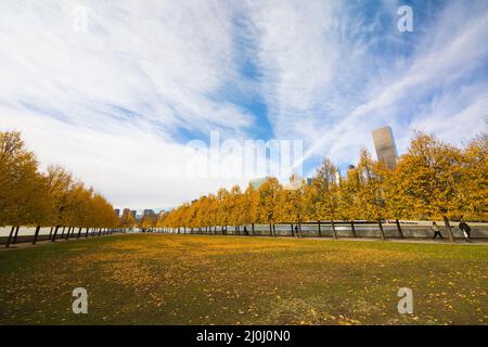 Der Wolkenkratzer von Midtown Manhattan steht hinter Reihen von herbstlichen blättrigen Bäumen im Franklin D. Roosevelt Four Freedoms Park auf der Roosevelt Island jenseits des Th Stockfoto