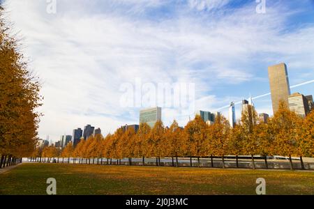 Der Wolkenkratzer von Midtown Manhattan steht hinter Reihen von herbstlichen blättrigen Bäumen im Franklin D. Roosevelt Four Freedoms Park auf der Roosevelt Island jenseits des Th Stockfoto