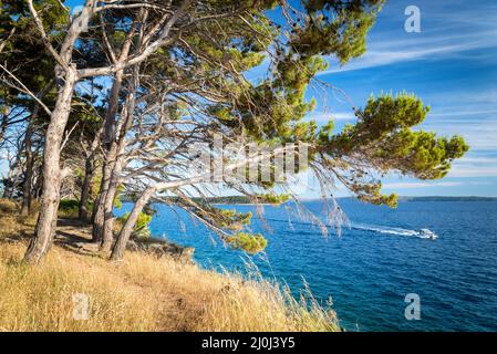 Motorboot, das eine kleine Insel in Kroatien passiert Stockfoto