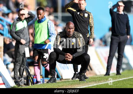 GILLINGHAM, GROSSBRITANNIEN. MÄR 19. Darren Moore, Sheffield Mittwoch-Manager hockt während des Sky Bet League 1-Spiels zwischen Gillingham und Sheffield Mittwoch im MEMS Priestfield Stadium, Gillingham am Samstag, 19.. März 2022. (Kredit: Tom West | MI News) Kredit: MI Nachrichten & Sport /Alamy Live News Stockfoto