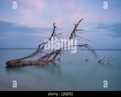 Schöner tropischer Strand auf der kleinen Insel während des Sonnenuntergangs, Venu Insel, Pulau Venu, in der Nähe von Kaimana, West Papua, Indonesien Stockfoto