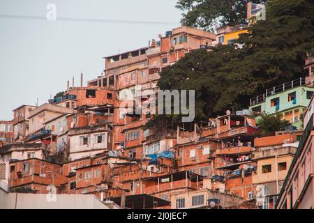 Favela Peacock in der costa rica in Rio de Janeiro, Brasilien. Stockfoto