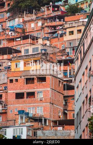 Favela Peacock in der costa rica in Rio de Janeiro, Brasilien. Stockfoto