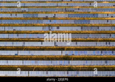 Drohnenbild eines großen Solarparks mit Solarmodulen aus einer bodenmontierten Solaranlage in Deutschland Stockfoto