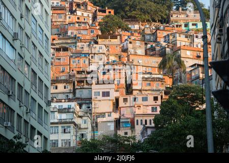 Favela Peacock in der costa rica in Rio de Janeiro, Brasilien. Stockfoto