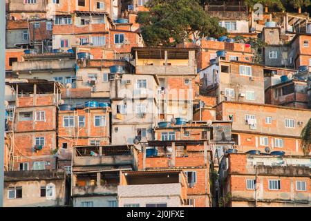 Favela Peacock in der costa rica in Rio de Janeiro, Brasilien. Stockfoto