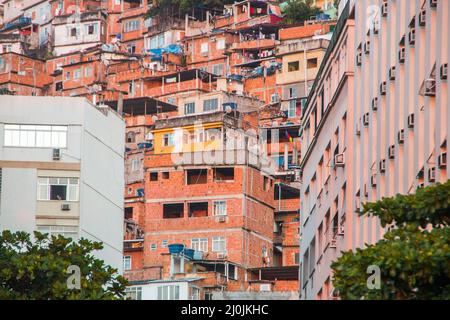 Favela Peacock in der costa rica in Rio de Janeiro, Brasilien. Stockfoto