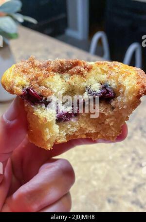 Eine Person Hand hält einen frisch hinterrückten Blaubeer Muffin, der einen Bissen aus ihm genommen hat. Stockfoto