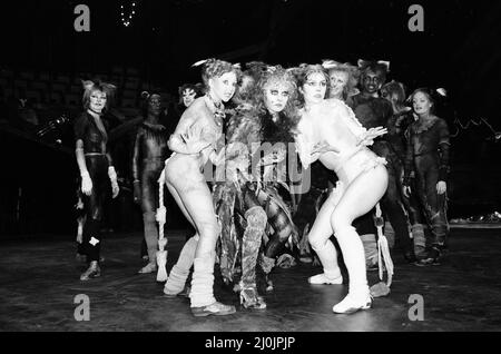 Cast Member of Cats, Musical nach T. S. Eliot 1939 Gedichtband Old Possums Buch der praktischen Katzen, komponiert von Andrew Lloyd Webber, und zeigt im New London Theatre, (Opening Night 11. May) Fotocall Mittwoch, 6.. Mai 1981. Unser Bild Zeigt ... Im Vordergrund, von links nach rechts, Bonnie Langford als Rumpleteazer, Elaine Paige als Grizabella und Finola Hughes als Victoria (White Cat) Stockfoto