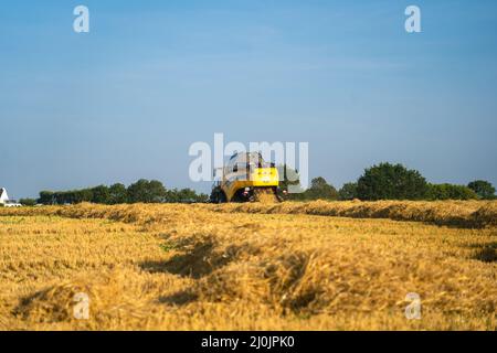Yellow Mähdrescher New Holland erntet reifes Weizenfeld. Landwirtschaft in Frankreich. Die Ernte ist der Prozess der Sammlung eines Stockfoto