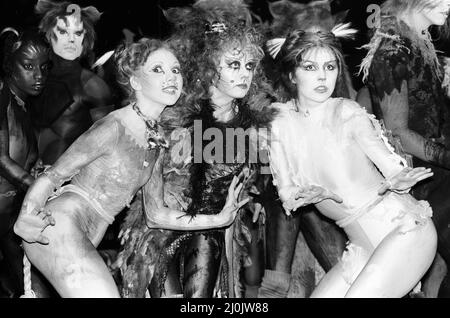 Cast Member of Cats, Musical nach T. S. Eliot 1939 Gedichtband Old Possums Buch der praktischen Katzen, komponiert von Andrew Lloyd Webber, und zeigt im New London Theatre, (Opening Night 11. May) Fotocall Mittwoch, 6.. Mai 1981. Unser Bild zeigt ... von links nach rechts, Bonnie Langford als Rumpleteazer, Elaine Paige als Grizabella und Finola Hughes als Victoria (White Cat) Stockfoto