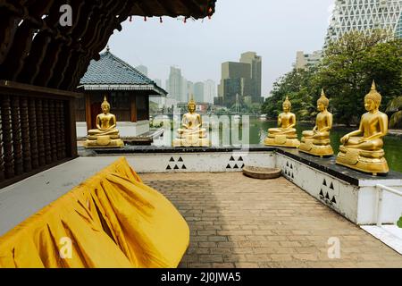 Buddha-Statuen im Seema Malaka Tempel, Colombo, Sri Lanka. Stockfoto