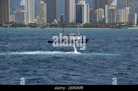 U-Boot vor der Skyline von Waikiki Beach auf der Insel Oahu, Honolulu, Hawaii Stockfoto