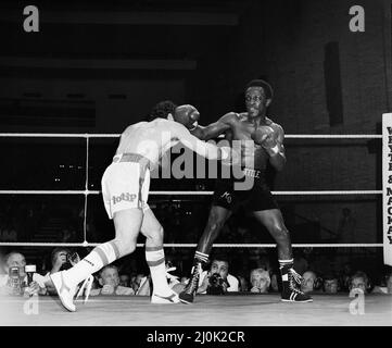 Maurice Hope / Rocky Mattioli (Neuverfilz). WBC World Super Welterweight Titel im Konferenzzentrum, Wembley, London, Großbritannien. Hoffnung, die TKO in Runde 11 gewonnen hat.(Bild) Kampfaktion. 12.. Juli 1980 Stockfoto