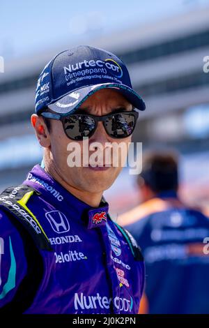 Ft. Worth, Texas, USA. 19. März 2022. TAKUMA SATO (51) aus Tokio, Japan, qualifiziert sich für den XPEL 375 auf dem Texas Motor Speedway in Ft. Worth, Texas, USA. (Bild: © Walter G. Arce Sr./ZUMA Press Wire) Stockfoto