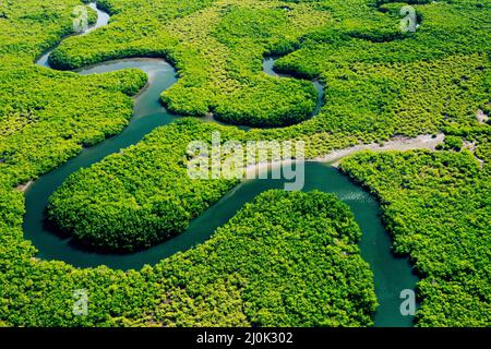 Ökosystem und gesunde Umwelt. Konzepte und Natur Hintergrund. Tropischer Regenwald. Luftaufnahme Von Oben. Stockfoto