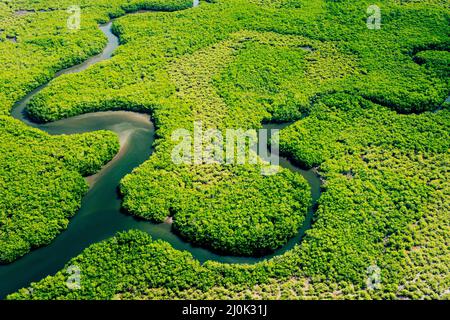 Ökosystem und gesunde Umwelt. Konzepte und Natur Hintergrund. Tropischer Regenwald. Luftaufnahme Von Oben. Stockfoto