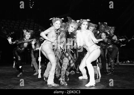 Cast Member of Cats, Musical nach T. S. Eliot 1939 Gedichtband Old Possums Buch der praktischen Katzen, komponiert von Andrew Lloyd Webber, und zeigt im New London Theatre, (Opening Night 11. May) Fotocall Mittwoch, 6.. Mai 1981. Unser Bild Zeigt ... Im Vordergrund, von links nach rechts, Bonnie Langford als Rumpleteazer, Elaine Paige als Grizabella und Finola Hughes als Victoria (White Cat) Stockfoto
