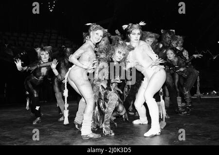 Cast Member of Cats, Musical nach T. S. Eliot 1939 Gedichtband Old Possums Buch der praktischen Katzen, komponiert von Andrew Lloyd Webber, und zeigt im New London Theatre, (Opening Night 11. May) Fotocall Mittwoch, 6.. Mai 1981. Unser Bild Zeigt ... Im Vordergrund, von links nach rechts, Bonnie Langford als Rumpleteazer, Elaine Paige als Grizabella und Finola Hughes als Victoria (White Cat) Stockfoto