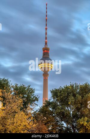 Der berühmte Fernsehturm in Berlin im Morgengrauen durch einige Bäume gesehen Stockfoto