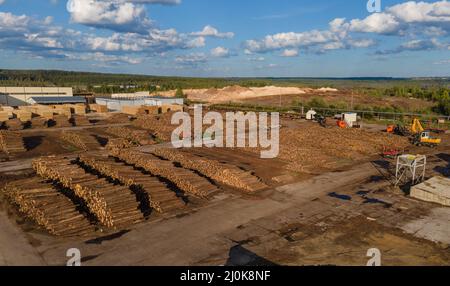 Holzstämme und moderne Industriefahrzeuge im Sägewerk Stockfoto