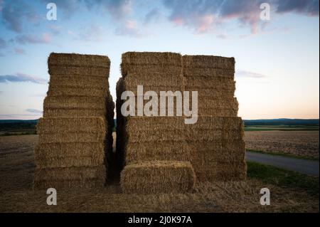 Hale-Ballen stapelten sich auf einem Ackerland auf dem Land, blauer Himmel, Kopierraum Stockfoto