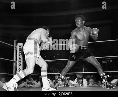 Maurice Hope / Rocky Mattioli (Neuverfilz). WBC World Super Welterweight Titel im Konferenzzentrum, Wembley, London, Großbritannien. Hoffnung, die TKO in Runde 11 gewonnen hat.(Bild) Kampfaktion. 12.. Juli 1980 Stockfoto