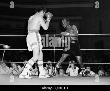 Maurice Hope / Rocky Mattioli (Neuverfilz). WBC World Super Welterweight Titel im Konferenzzentrum, Wembley, London, Großbritannien. Hoffnung, die TKO in Runde 11 gewonnen hat.(Bild) Kampfaktion. 12.. Juli 1980 Stockfoto