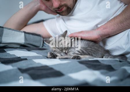 Beste Freunde, die ein Nickerchen machen. Mann liegt auf dem Bett und spielt mit dem kleinen britischen Kätzchen. Beziehung zwischen Besitzer und inländischem Katzentier Stockfoto