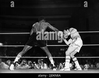 Maurice Hope / Rocky Mattioli (Neuverfilz). WBC World Super Welterweight Titel im Konferenzzentrum, Wembley, London, Großbritannien. Hoffnung, die TKO in Runde 11 gewonnen hat.(Bild) Kampfaktion. 12.. Juli 1980 Stockfoto