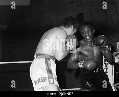 Maurice Hope / Rocky Mattioli (Neuverfilz). WBC World Super Welterweight Titel im Konferenzzentrum, Wembley, London, Großbritannien. Hoffnung, die TKO in Runde 11 gewonnen hat.(Bild) Kampfaktion. 12.. Juli 1980 Stockfoto