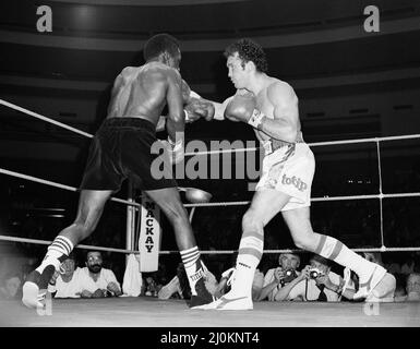 Maurice Hope / Rocky Mattioli (Neuverfilz). WBC World Super Welterweight Titel im Konferenzzentrum, Wembley, London, Großbritannien. Hoffnung, die TKO in Runde 11 gewonnen hat.(Bild) Kampfaktion. 12.. Juli 1980 Stockfoto